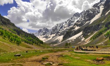 Kashmir